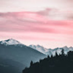 Meet your Posher, Maddison